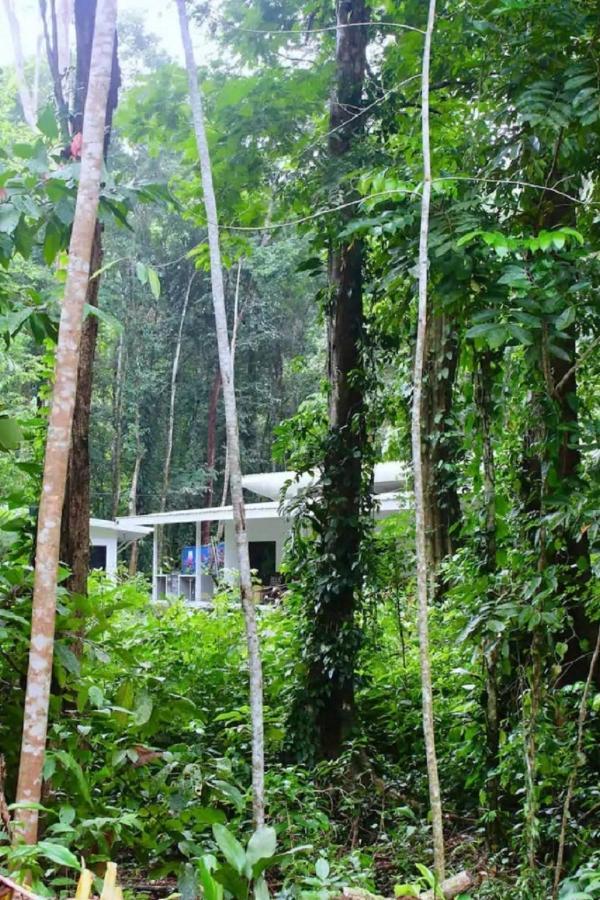 Casa Eden - Modern Peaceful Jungle Apartments Коклес Екстериор снимка