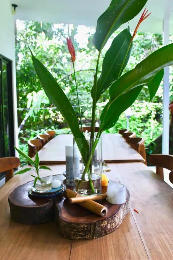Casa Eden - Modern Peaceful Jungle Apartments Коклес Екстериор снимка