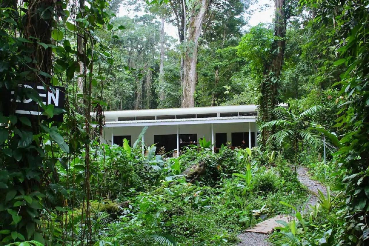 Casa Eden - Modern Peaceful Jungle Apartments Коклес Екстериор снимка