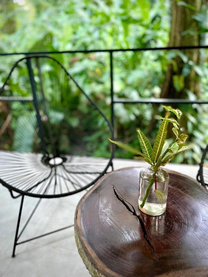 Casa Eden - Modern Peaceful Jungle Apartments Коклес Екстериор снимка