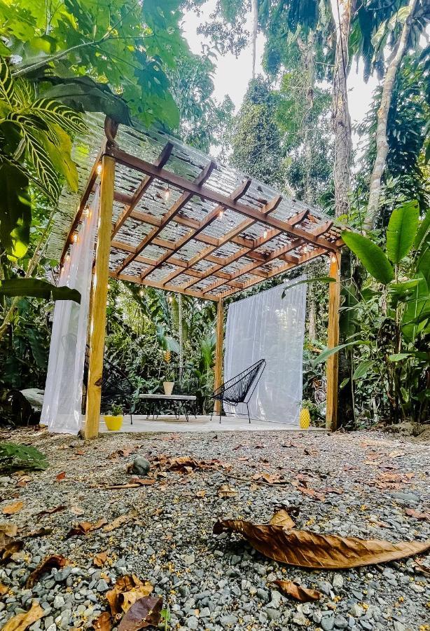 Casa Eden - Modern Peaceful Jungle Apartments Коклес Екстериор снимка