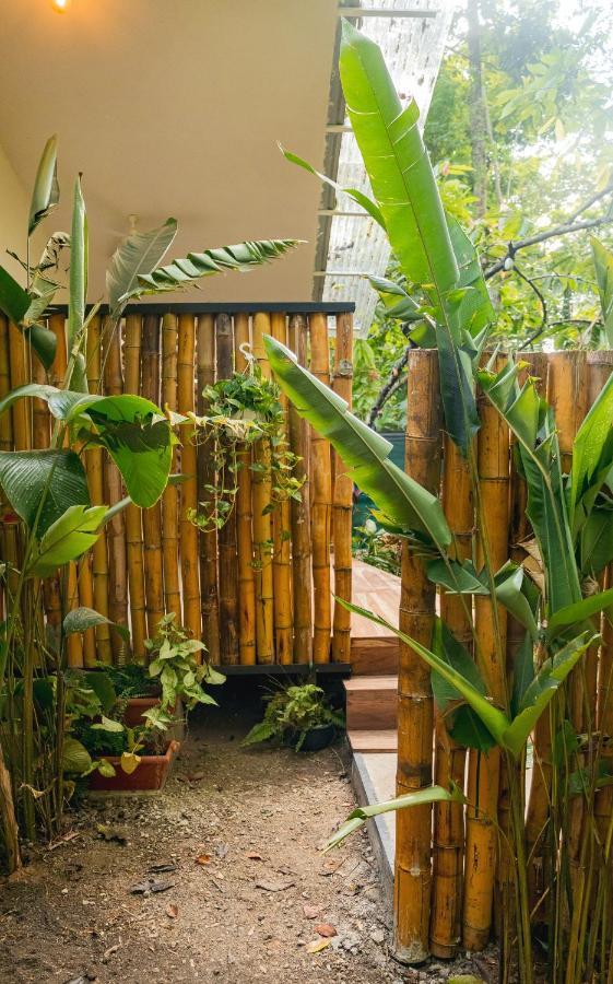 Casa Eden - Modern Peaceful Jungle Apartments Коклес Екстериор снимка